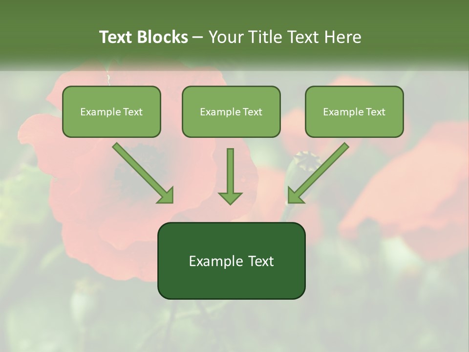 A Bunch Of Red Flowers In A Field PowerPoint Template