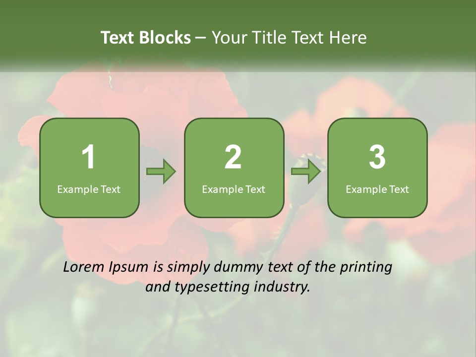 A Bunch Of Red Flowers In A Field PowerPoint Template
