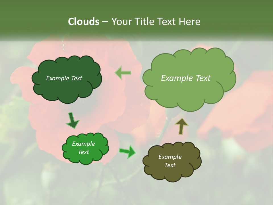 A Bunch Of Red Flowers In A Field PowerPoint Template