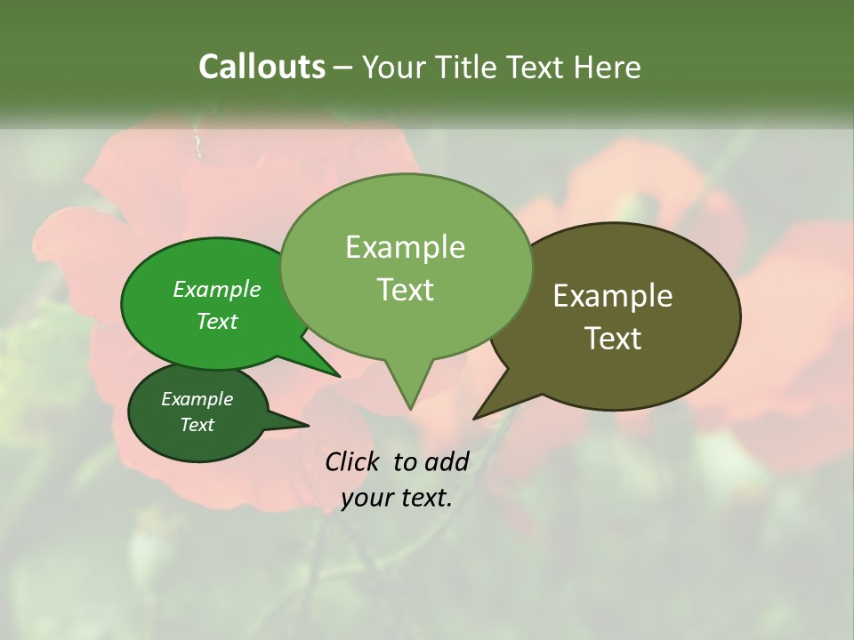 A Bunch Of Red Flowers In A Field PowerPoint Template