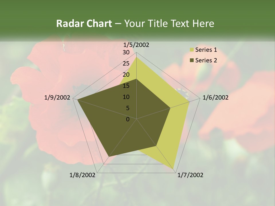 A Bunch Of Red Flowers In A Field PowerPoint Template
