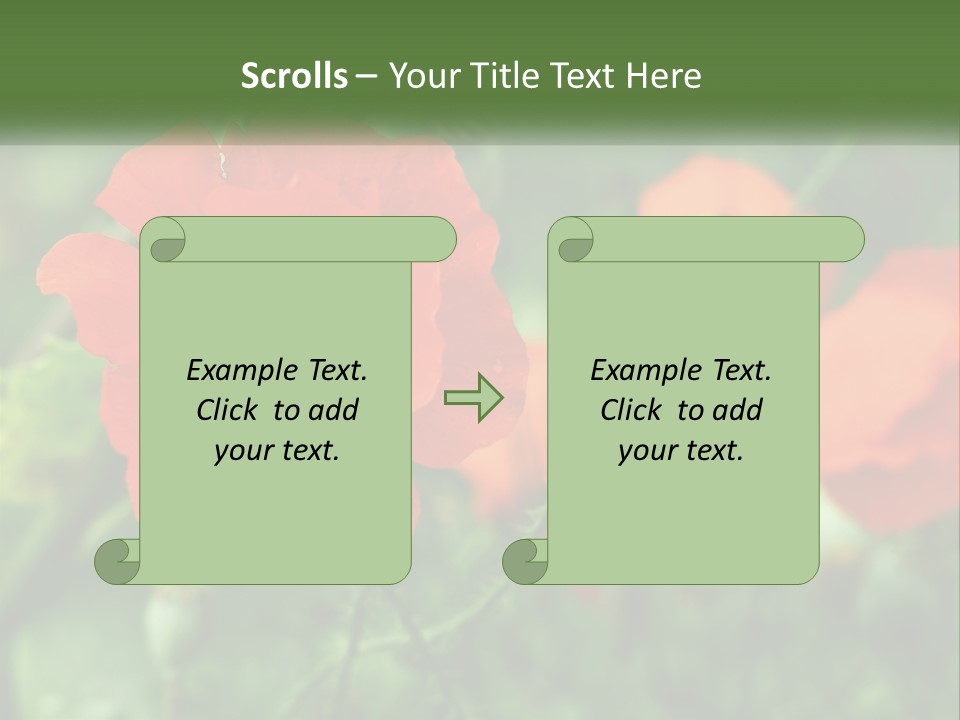 A Bunch Of Red Flowers In A Field PowerPoint Template