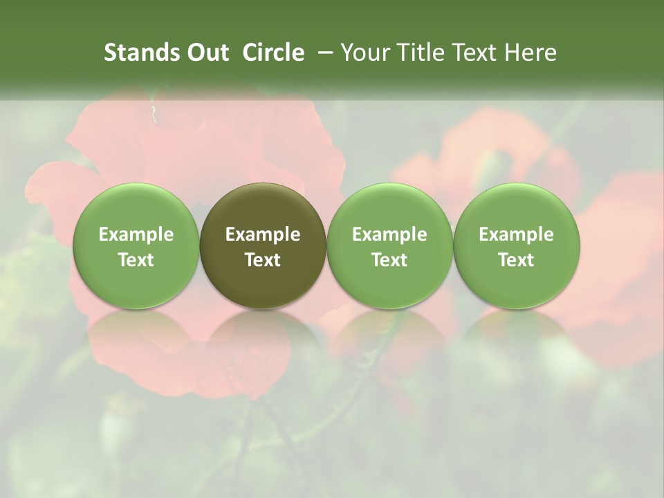 A Bunch Of Red Flowers In A Field PowerPoint Template