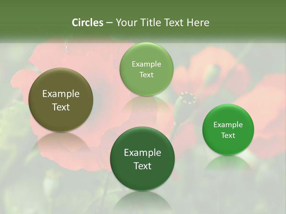 A Bunch Of Red Flowers In A Field PowerPoint Template
