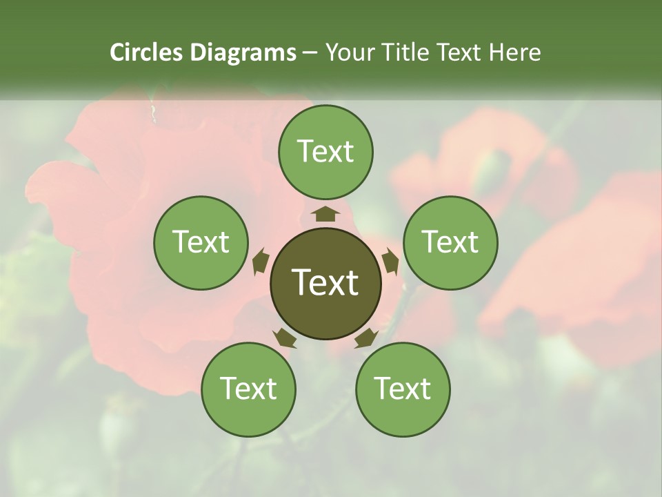 A Bunch Of Red Flowers In A Field PowerPoint Template