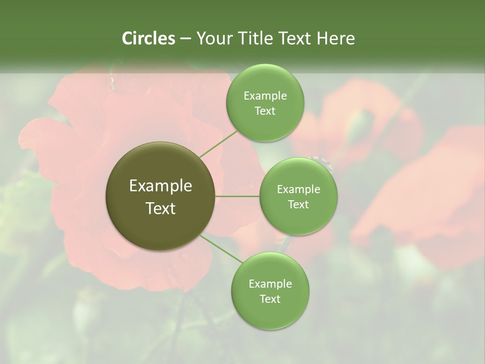 A Bunch Of Red Flowers In A Field PowerPoint Template