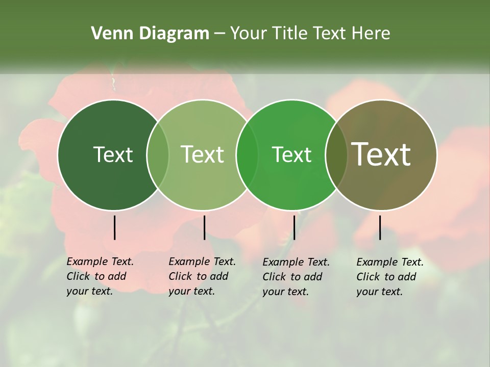 A Bunch Of Red Flowers In A Field PowerPoint Template