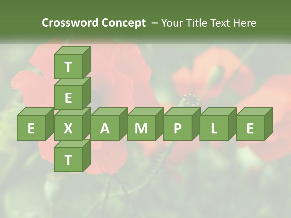 A Bunch Of Red Flowers In A Field PowerPoint Template