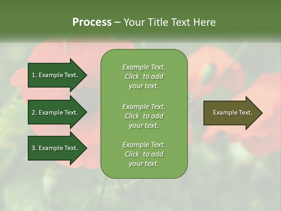 A Bunch Of Red Flowers In A Field PowerPoint Template