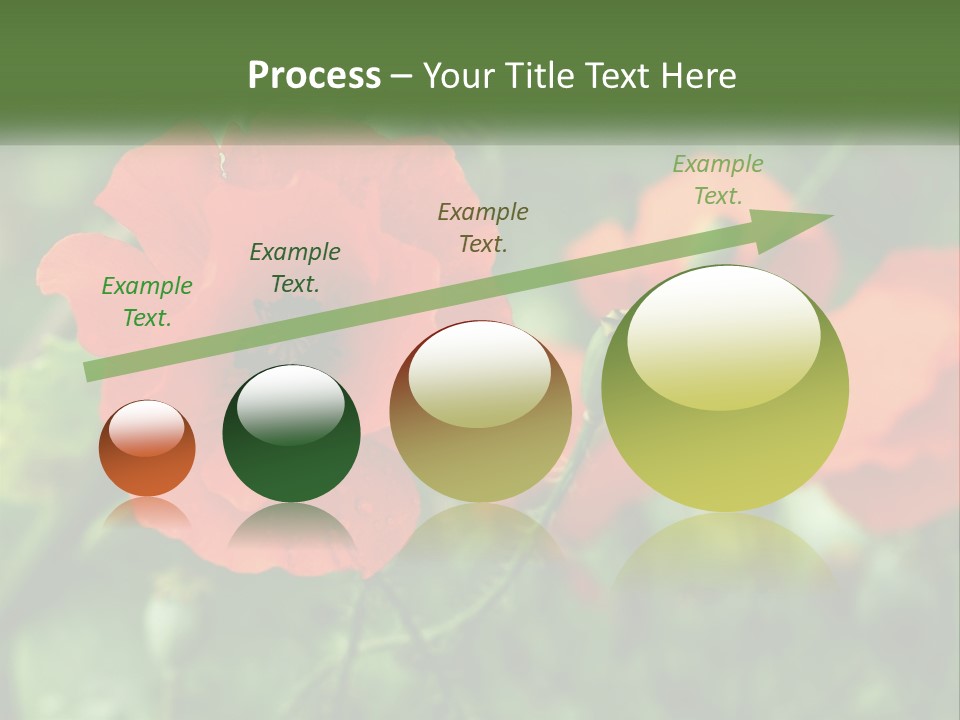 A Bunch Of Red Flowers In A Field PowerPoint Template
