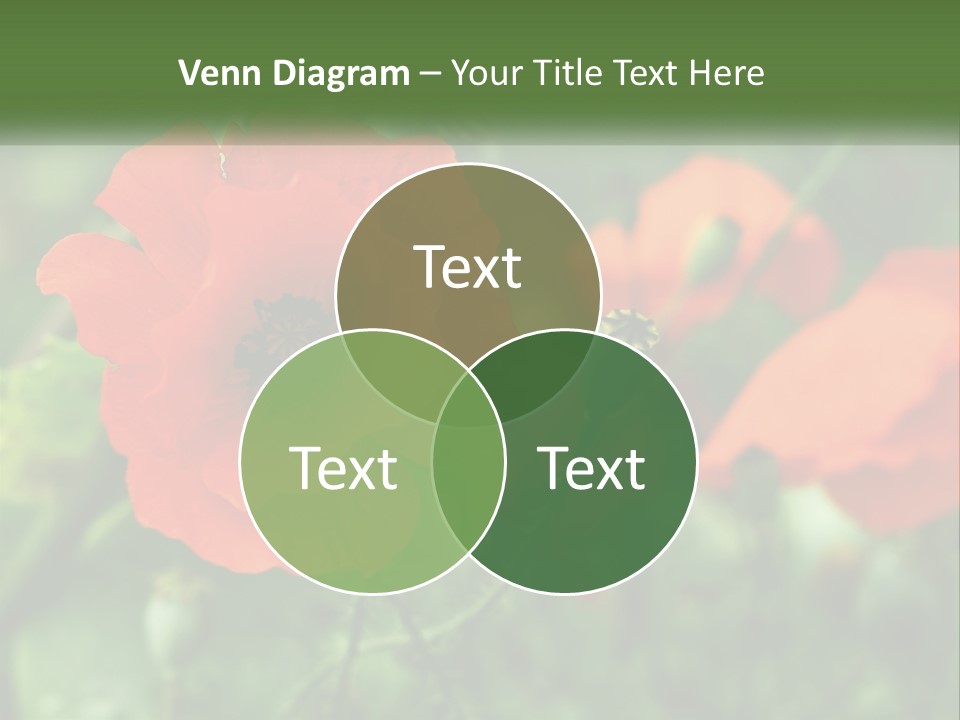 A Bunch Of Red Flowers In A Field PowerPoint Template