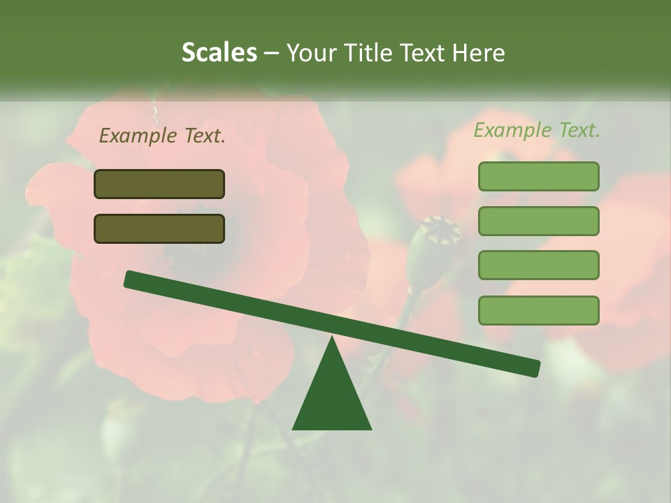 A Bunch Of Red Flowers In A Field PowerPoint Template