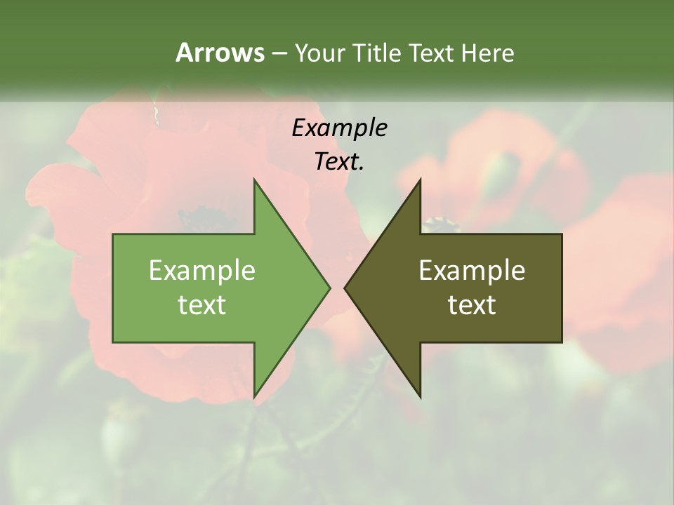 A Bunch Of Red Flowers In A Field PowerPoint Template