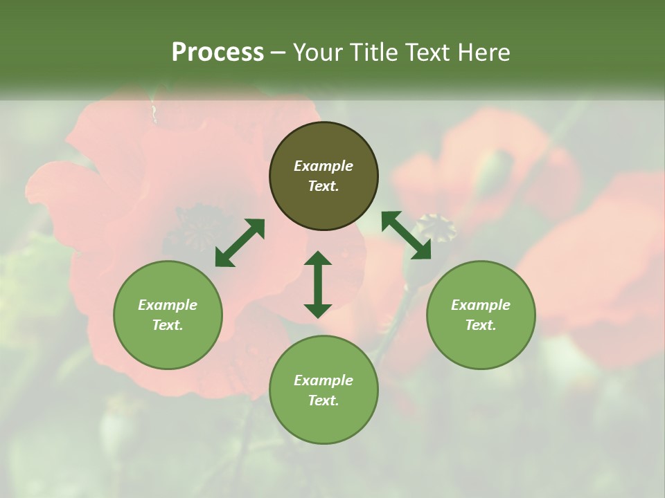 A Bunch Of Red Flowers In A Field PowerPoint Template