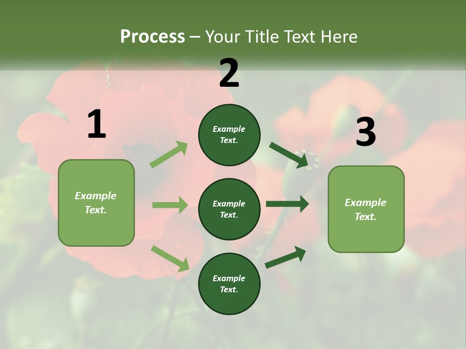 A Bunch Of Red Flowers In A Field PowerPoint Template