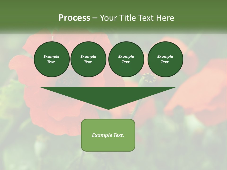 A Bunch Of Red Flowers In A Field PowerPoint Template