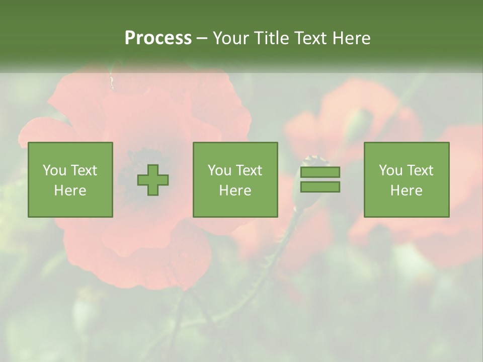 A Bunch Of Red Flowers In A Field PowerPoint Template