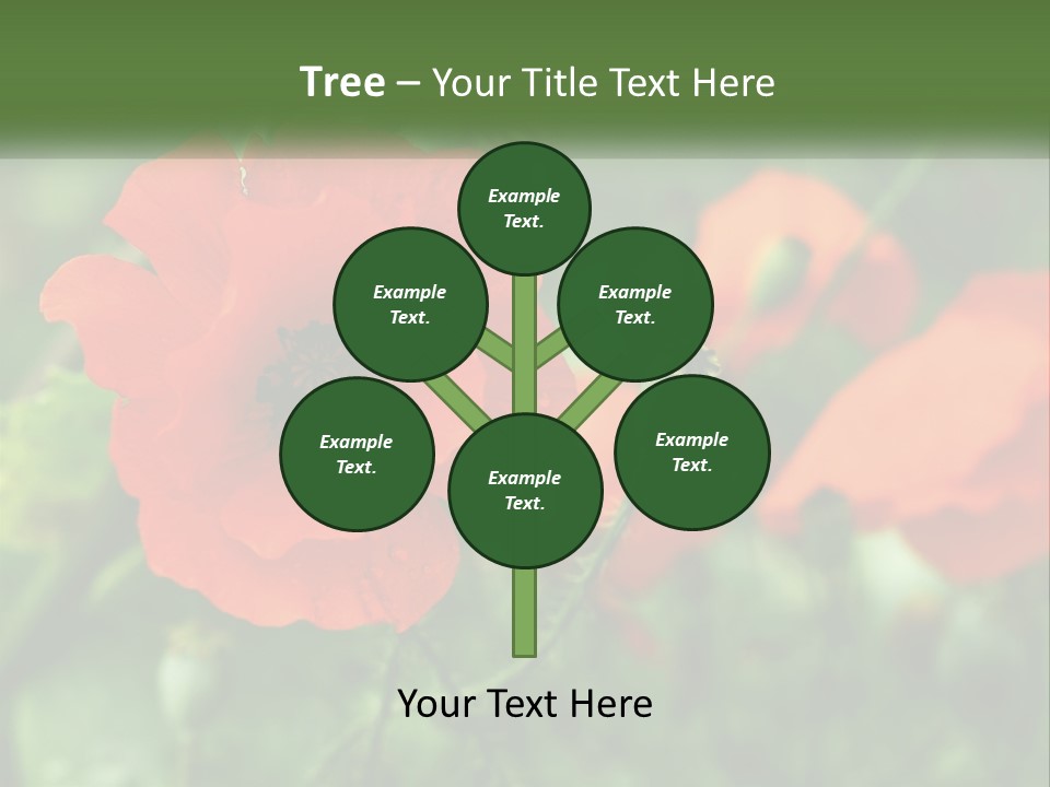 A Bunch Of Red Flowers In A Field PowerPoint Template