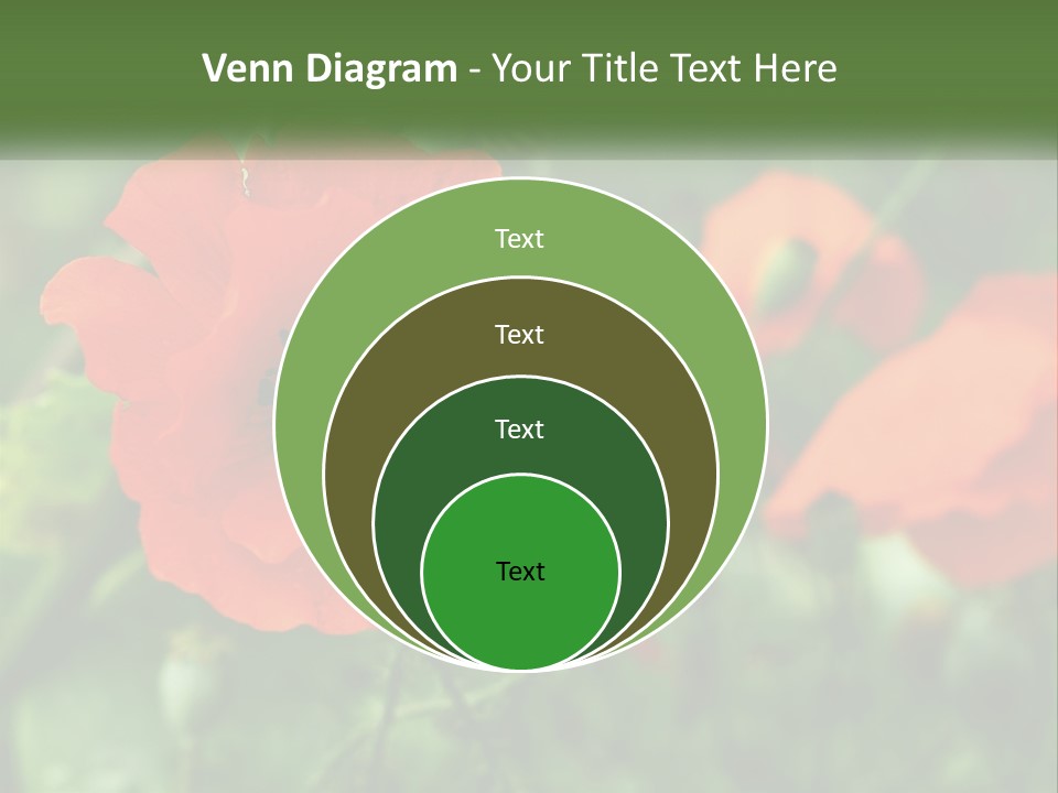 A Bunch Of Red Flowers In A Field PowerPoint Template