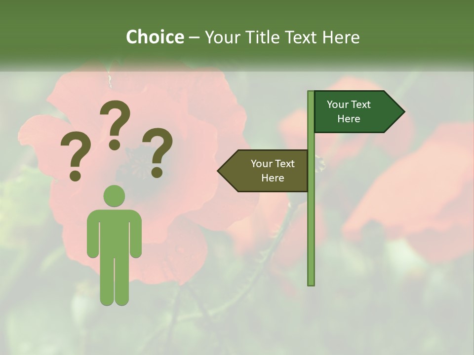 A Bunch Of Red Flowers In A Field PowerPoint Template