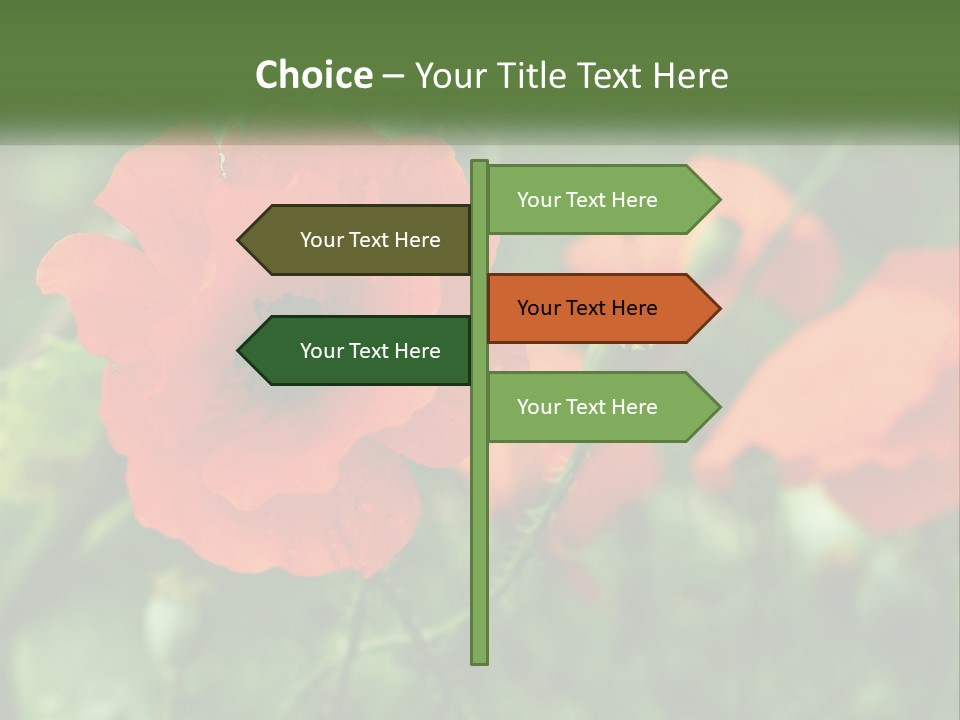 A Bunch Of Red Flowers In A Field PowerPoint Template