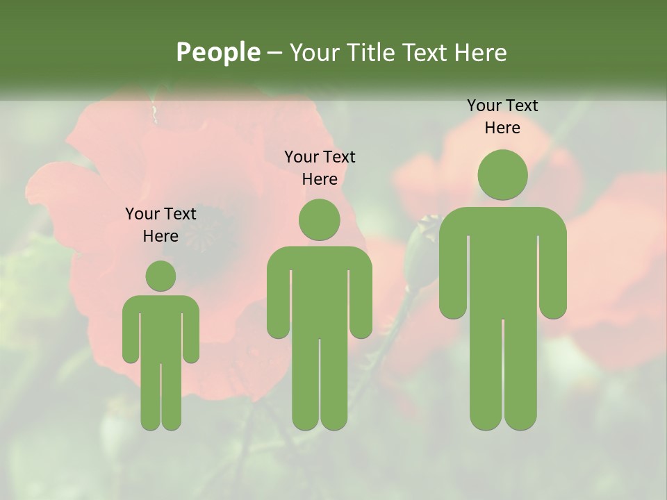 A Bunch Of Red Flowers In A Field PowerPoint Template