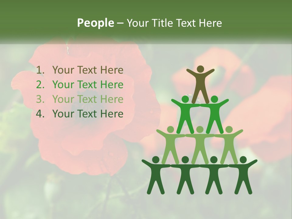 A Bunch Of Red Flowers In A Field PowerPoint Template