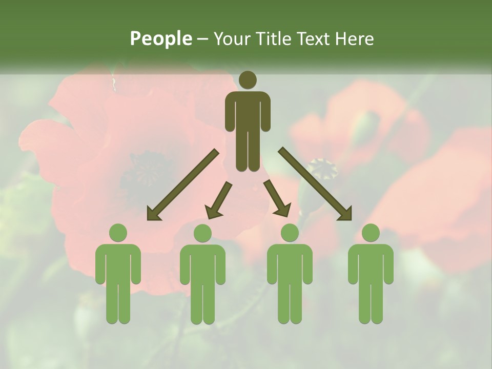 A Bunch Of Red Flowers In A Field PowerPoint Template