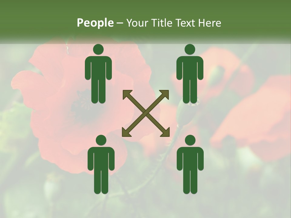 A Bunch Of Red Flowers In A Field PowerPoint Template