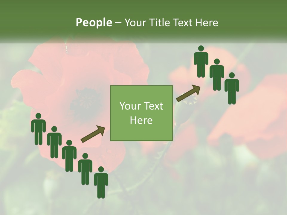A Bunch Of Red Flowers In A Field PowerPoint Template