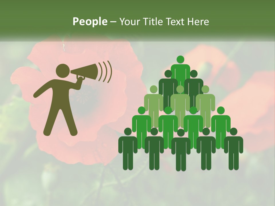 A Bunch Of Red Flowers In A Field PowerPoint Template