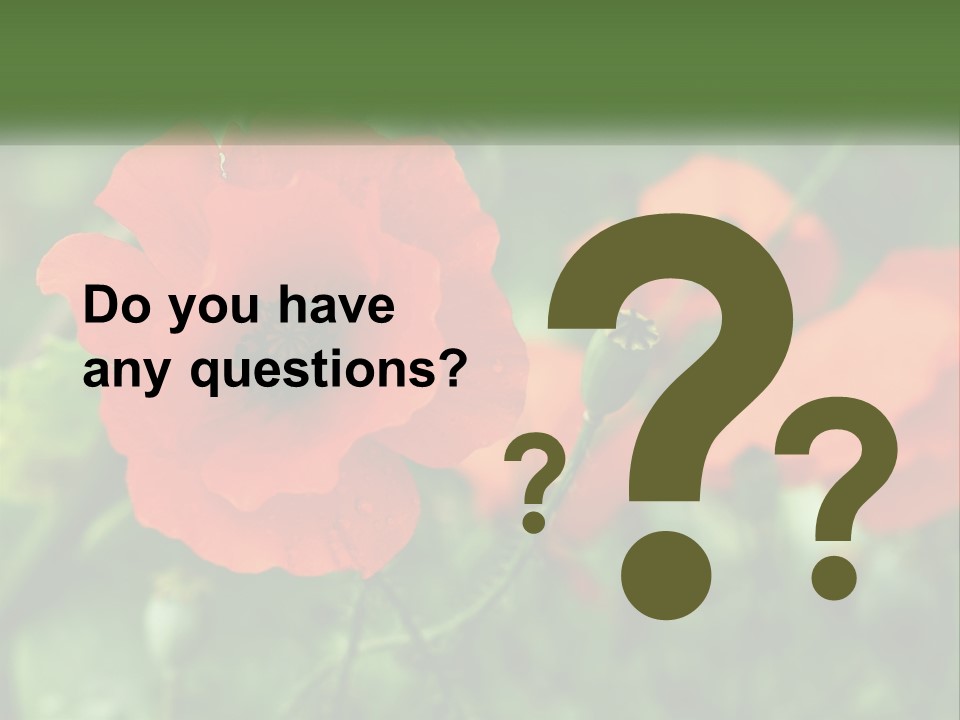 A Bunch Of Red Flowers In A Field PowerPoint Template