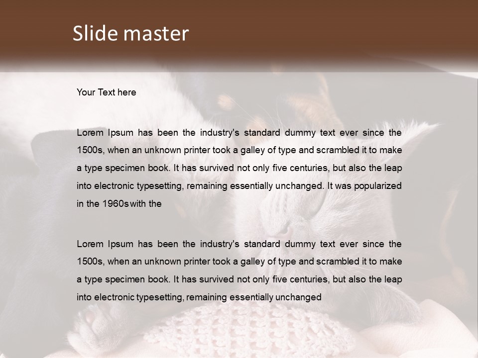 A Group Of Dogs And A Cat Sleeping Together PowerPoint Template