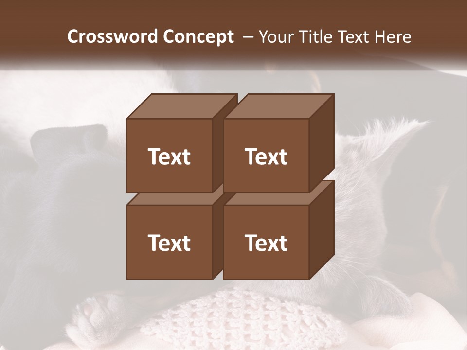 A Group Of Dogs And A Cat Sleeping Together PowerPoint Template