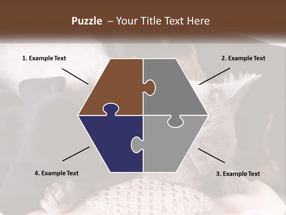 A Group Of Dogs And A Cat Sleeping Together PowerPoint Template