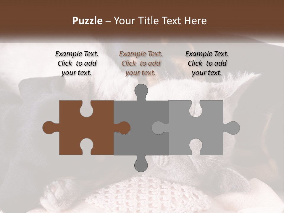 A Group Of Dogs And A Cat Sleeping Together PowerPoint Template