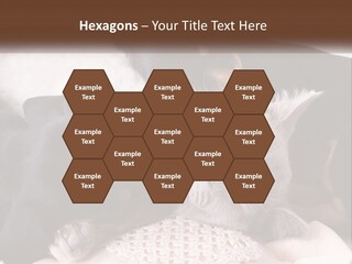 A Group Of Dogs And A Cat Sleeping Together PowerPoint Template