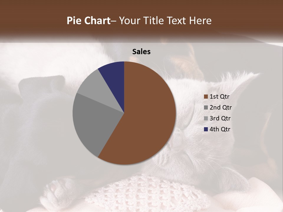 A Group Of Dogs And A Cat Sleeping Together PowerPoint Template