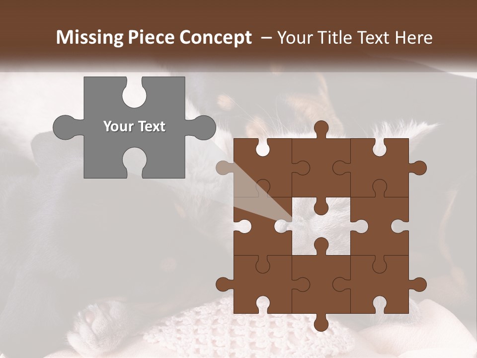 A Group Of Dogs And A Cat Sleeping Together PowerPoint Template