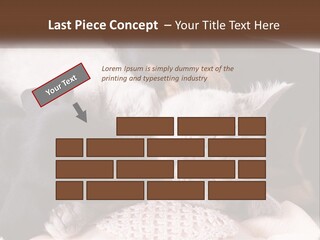 A Group Of Dogs And A Cat Sleeping Together PowerPoint Template