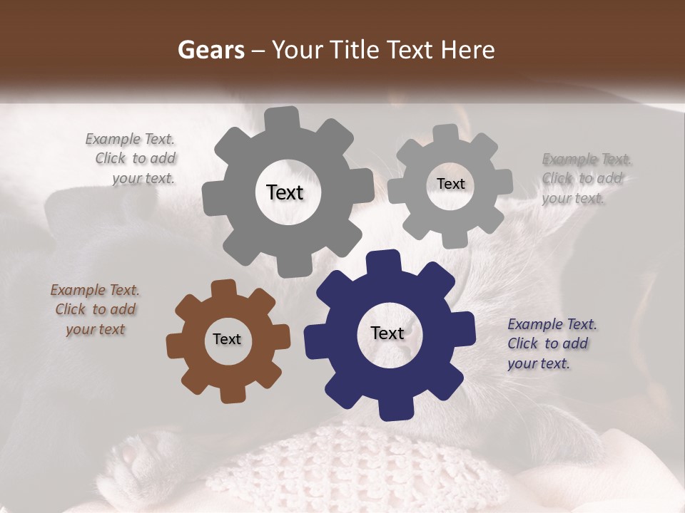 A Group Of Dogs And A Cat Sleeping Together PowerPoint Template