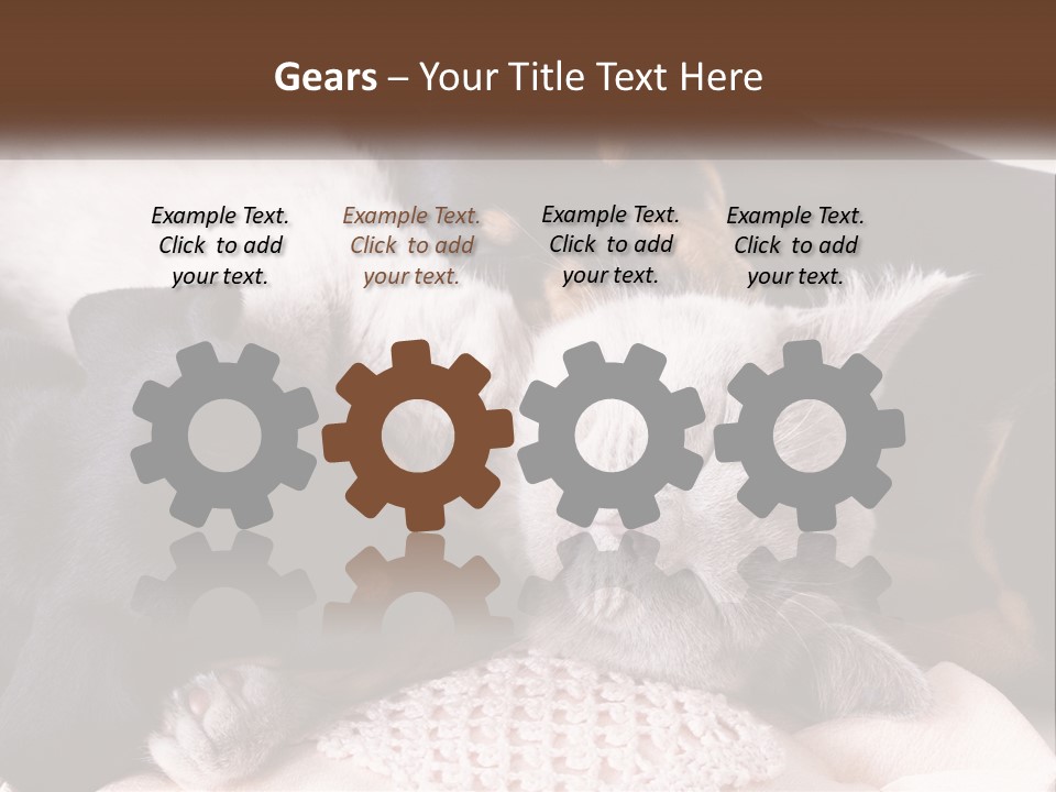 A Group Of Dogs And A Cat Sleeping Together PowerPoint Template