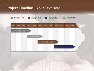 A Group Of Dogs And A Cat Sleeping Together PowerPoint Template