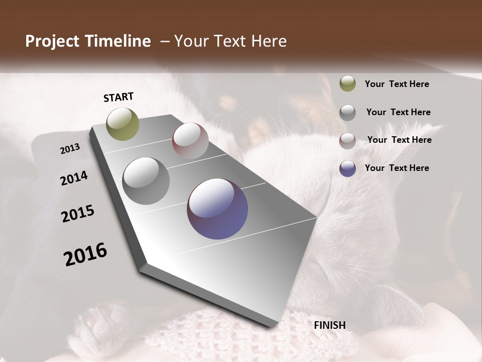 A Group Of Dogs And A Cat Sleeping Together PowerPoint Template