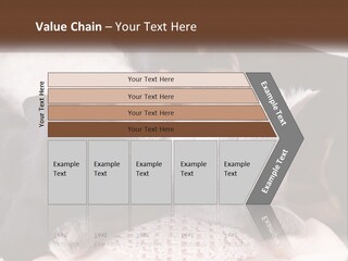 A Group Of Dogs And A Cat Sleeping Together PowerPoint Template