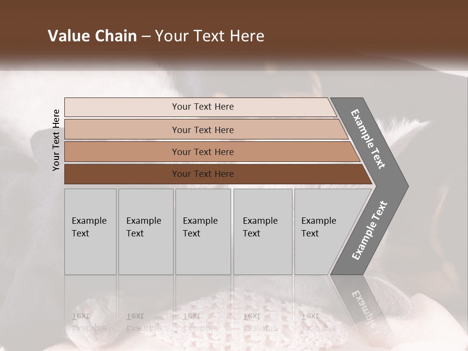 A Group Of Dogs And A Cat Sleeping Together PowerPoint Template