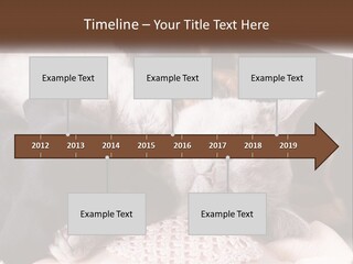 A Group Of Dogs And A Cat Sleeping Together PowerPoint Template