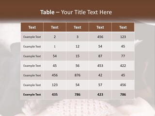 A Group Of Dogs And A Cat Sleeping Together PowerPoint Template