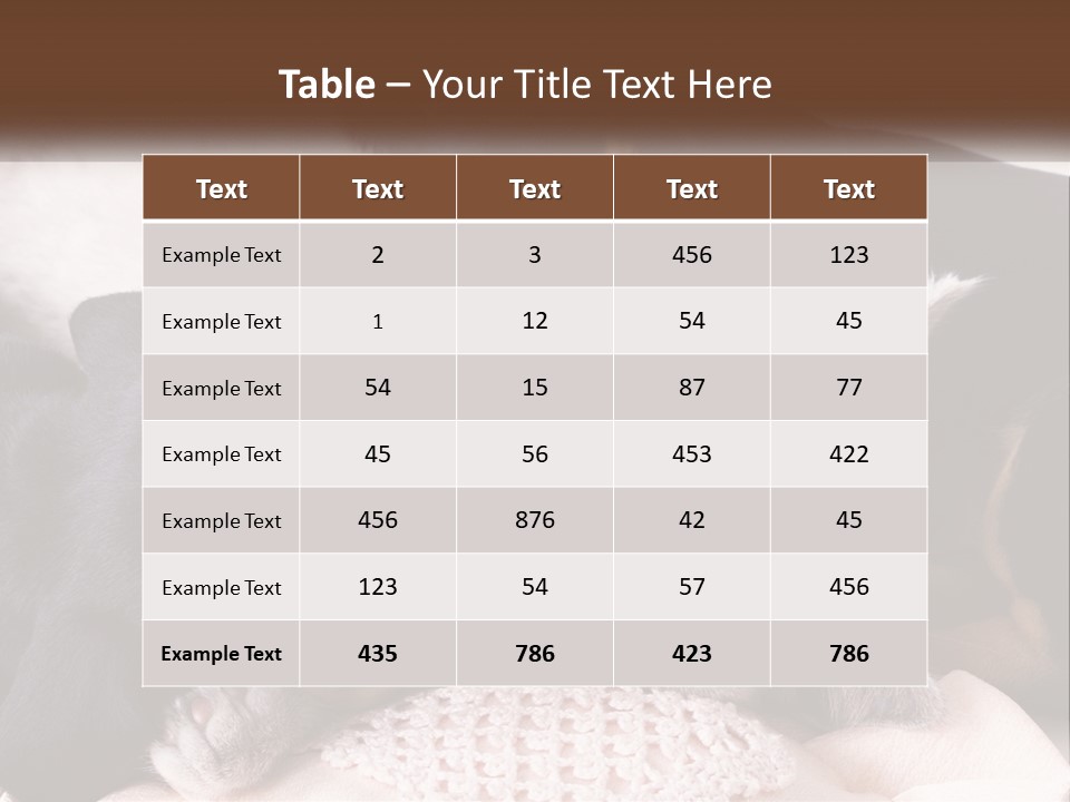 A Group Of Dogs And A Cat Sleeping Together PowerPoint Template