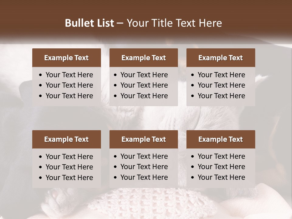 A Group Of Dogs And A Cat Sleeping Together PowerPoint Template